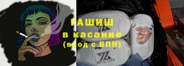 сатива Елабуга