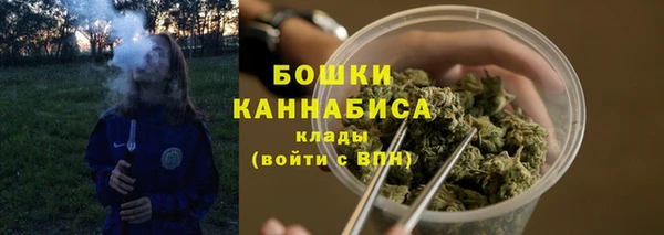 сатива Елабуга