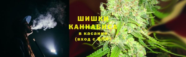 сатива Елабуга
