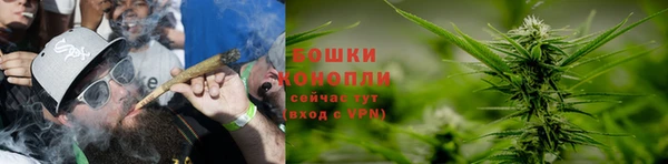 сатива Елабуга