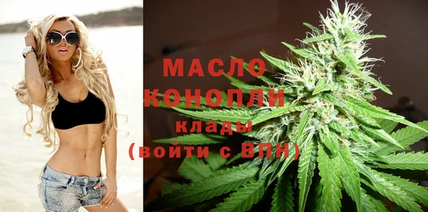 сатива Елабуга