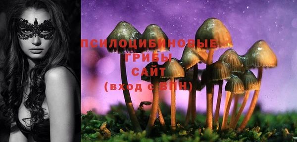 сатива Елабуга