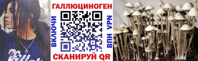 Купить закладки  Кизилюрт  Галлюциногенные грибы Psilocybe 